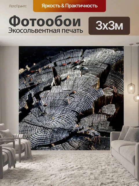 Фотообои пень
