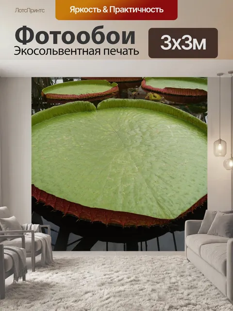 Фотообои Водяная лилия