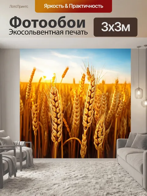 Фотообои закат среди пшеничных полей, где зарыганные синевы неба создают живые образы на золотых завивках растений