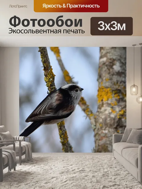 Фотообои Природа