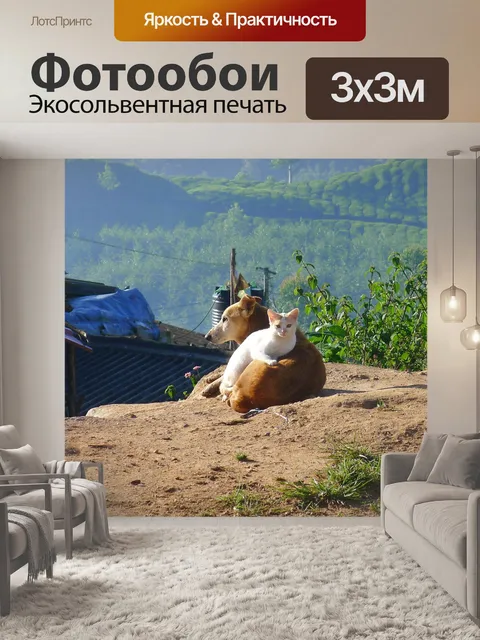 Фотообои Дружба