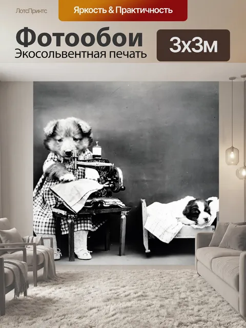 Фотообои Симпатичные Собаки Vintage Photo