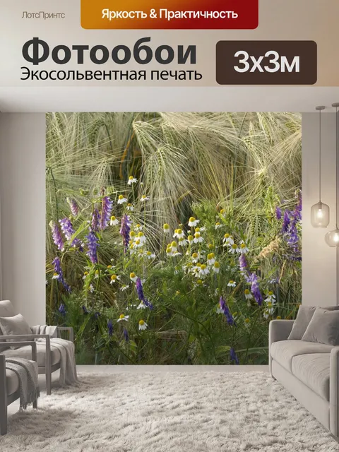 Фотообои Пчелиное пастбище цветы ромашки поле