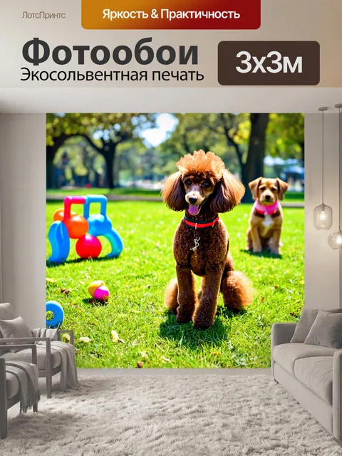 Фотообои пудель, играющий в парке с другими собаками, солнечный день и яркие игрушки