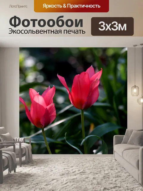 Фотообои Тюльпаны tulipa greigii торонто