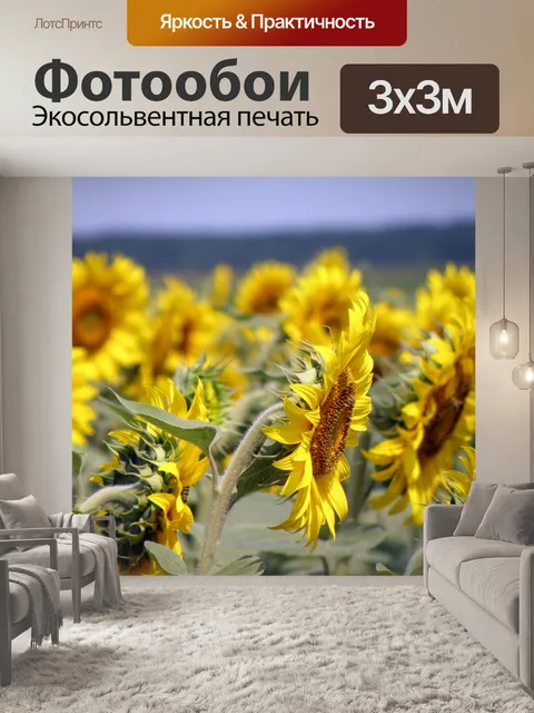 Фотообои Подсолнухи