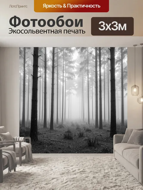 Фотообои Туманный лес из высоких стволов