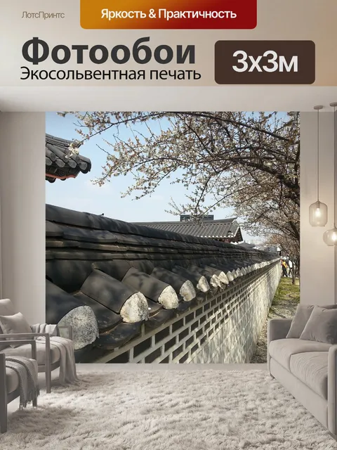 Фотообои Республика корея