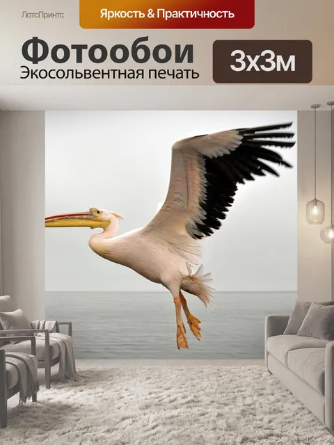 Фотообои Пеликан