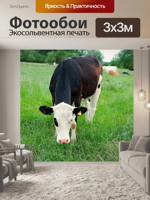 Фотообои Молочная корова