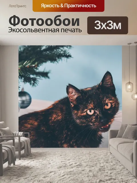Фотообои Кошка