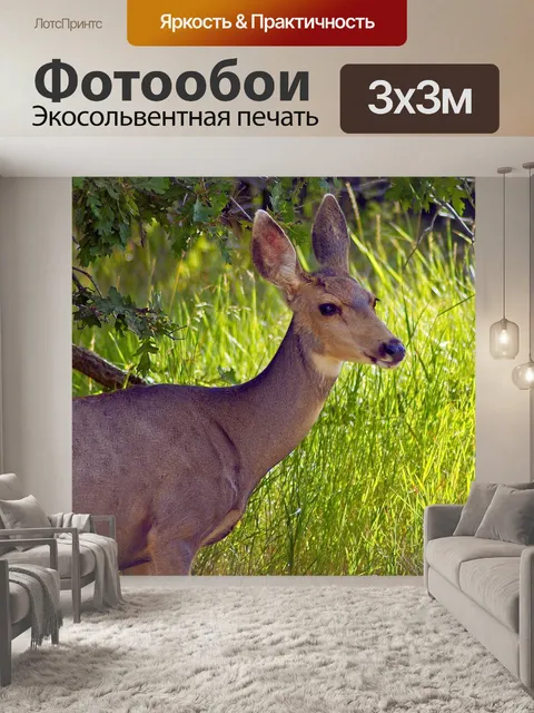 Фотообои Меса-верде пупкин