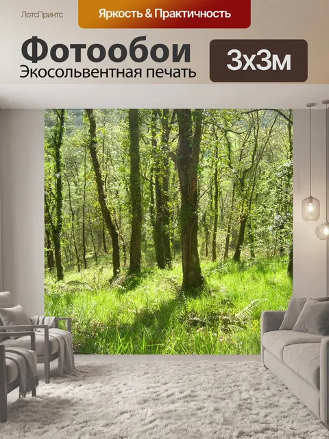 Фотообои Атлантический лес