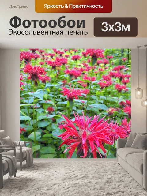 Фотообои Красные цветы
