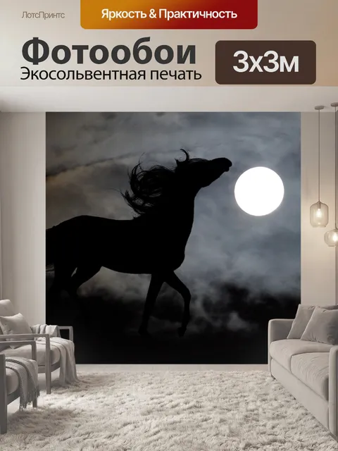 Фотообои Лошадь
