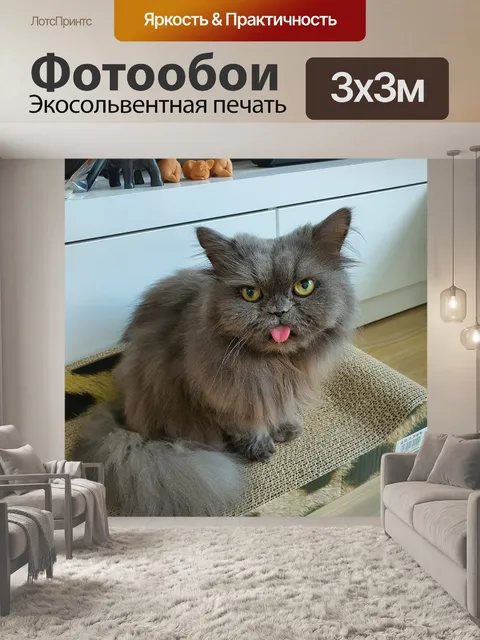 Фотообои Кошка