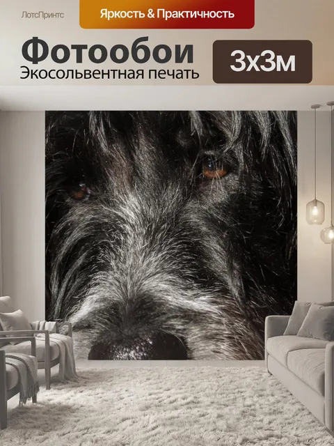 Фотообои Собака