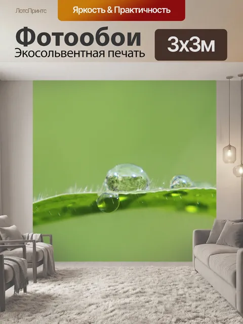 Фотообои Капли росы