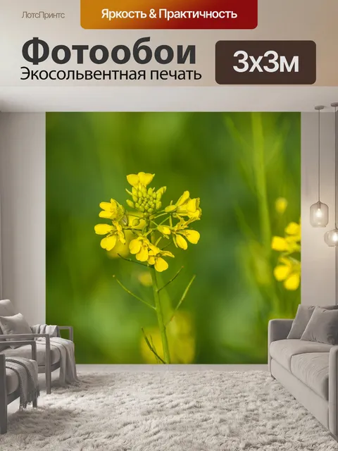 Фотообои Горчичный цветок