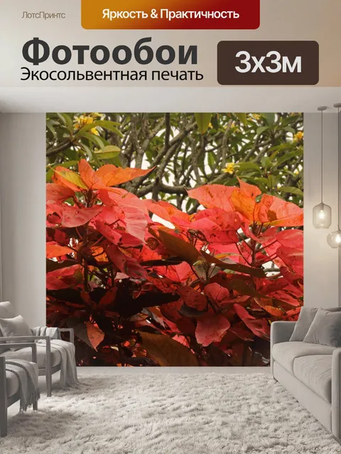 Фотообои розовые и желтые листья на растениях