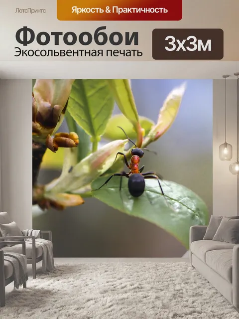 Фотообои Насекомое