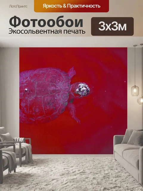 Фотообои Абстрактная черепаха
