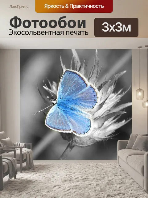 Фотообои Голубая бабочка