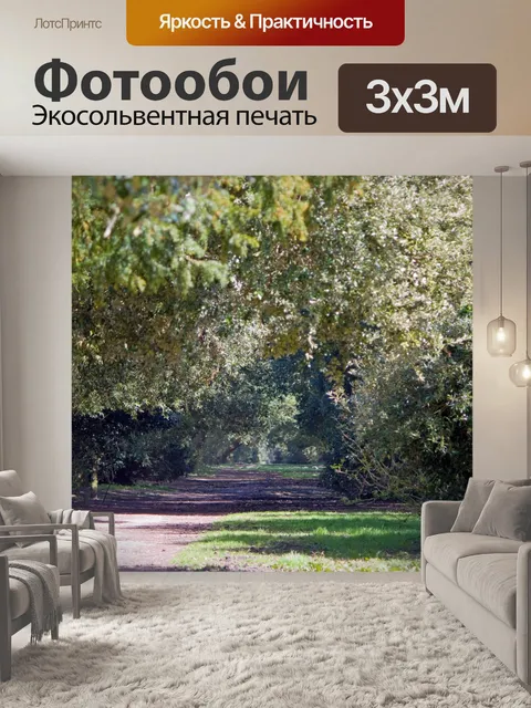 Фотообои Деревьев вдоль Прогулка