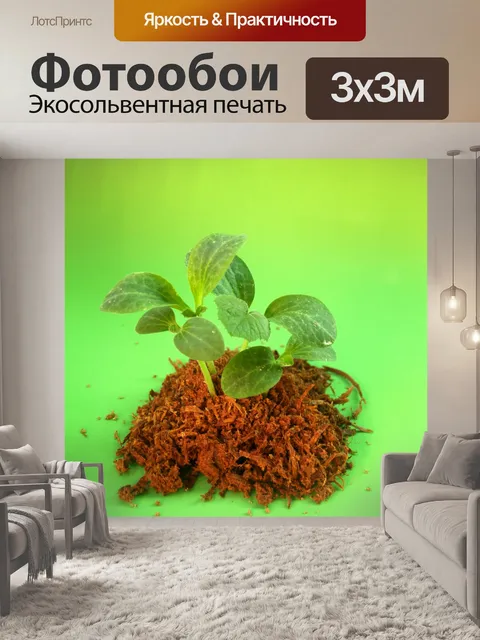 Фотообои Молодое дерево