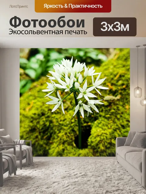 Фотообои Цветы