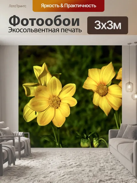 Фотообои Георгин