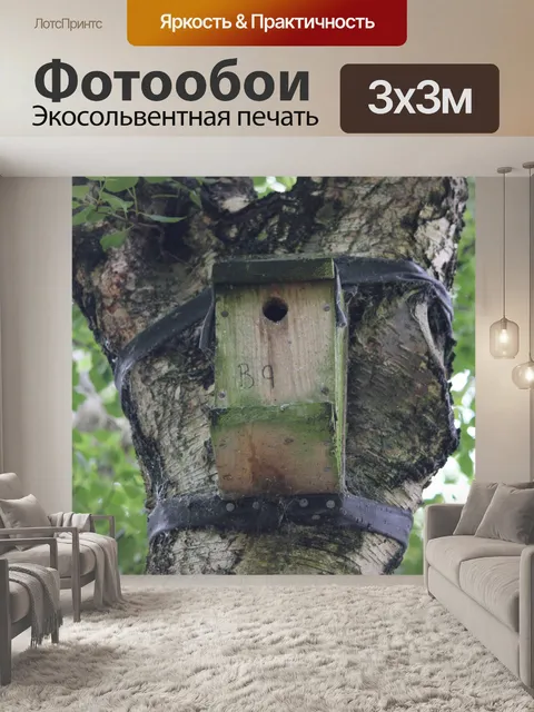 Фотообои Птицы Box в дерево