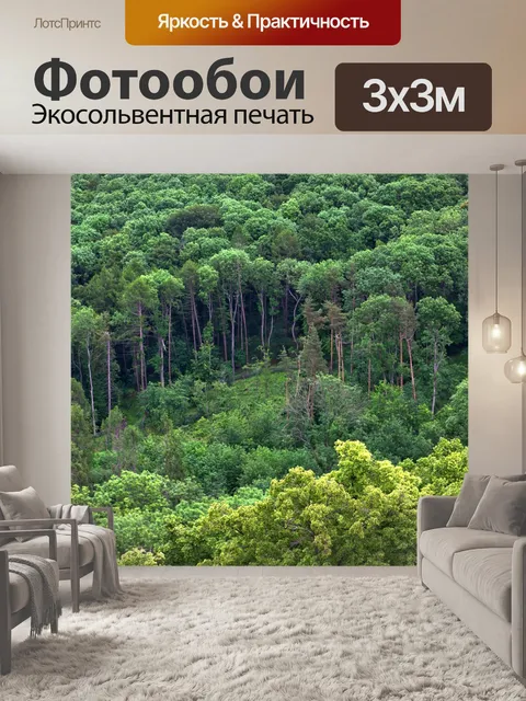 Фотообои Лес