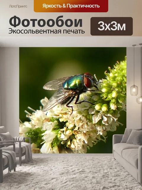 Фотообои Животное