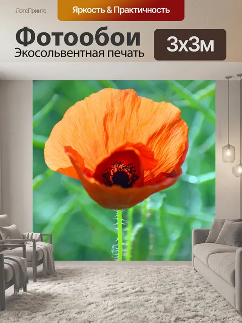 Фотообои Мак