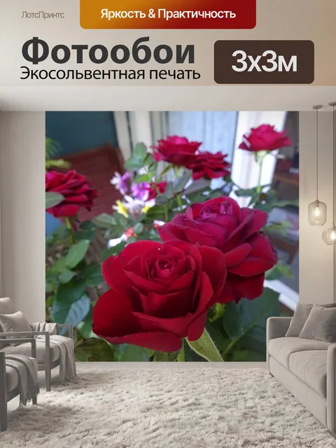 Фотообои Красные розы 1