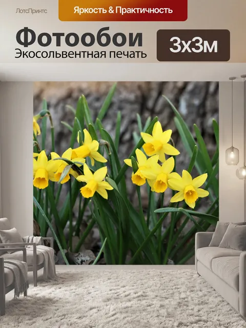 Фотообои Желтые мини нарциссы