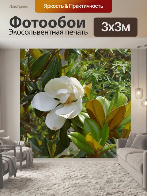Фотообои Магнолия цветок