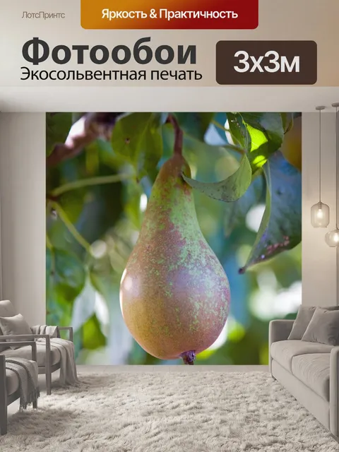 Фотообои Груши на дереве