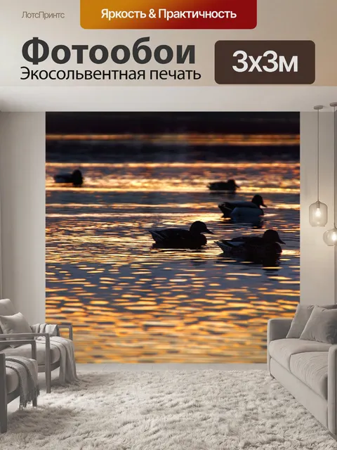 Фотообои Утки озеро закат фото