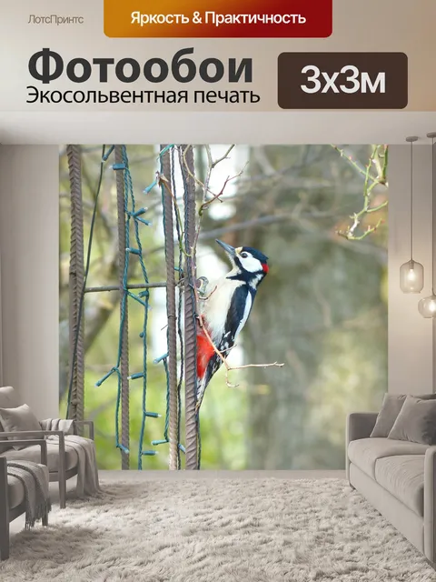 Фотообои Большой пёстрый дятел