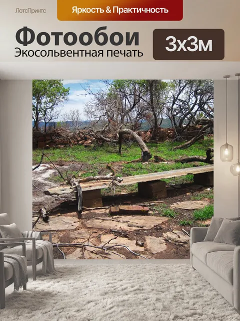 Фотообои ветви и упавшие деревья