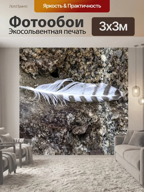 Фотообои Перо на песке