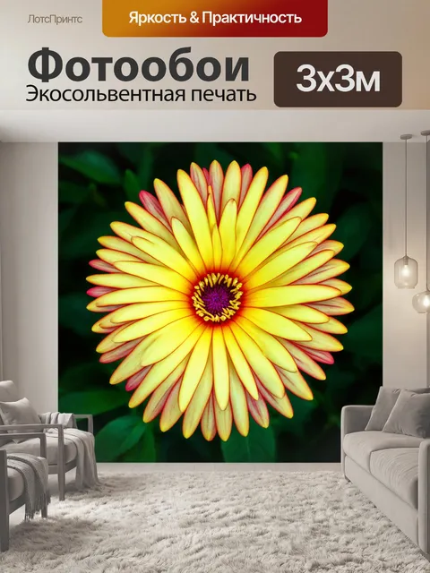 Фотообои цветы в стиле однострочный рисунок, детализированные линии