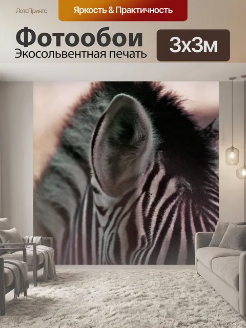 Фотообои Зебра
