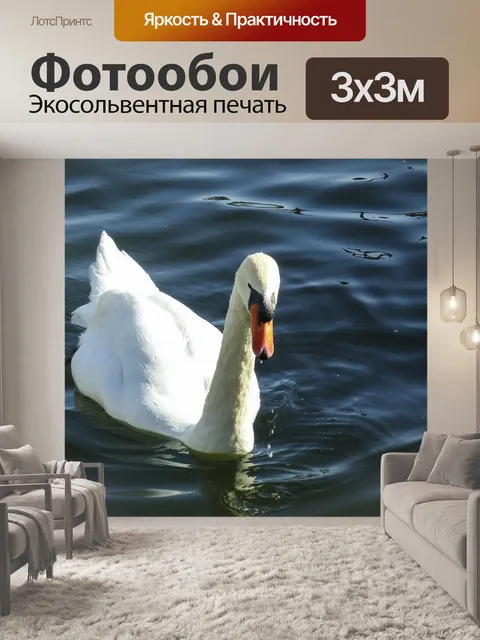 Фотообои Лебедь