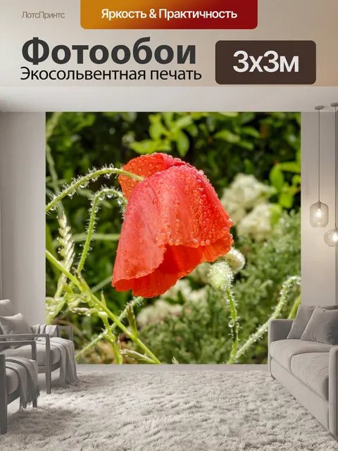 Фотообои После дождя