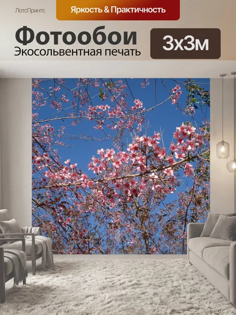 Фотообои Сакура