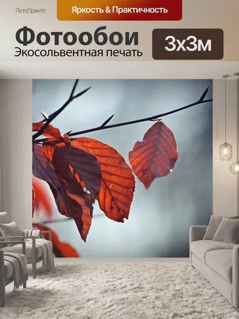 Фотообои Осенний лист