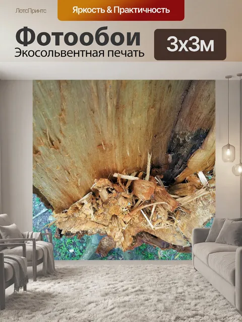 Фотообои свежий сломанный стволовых дерева